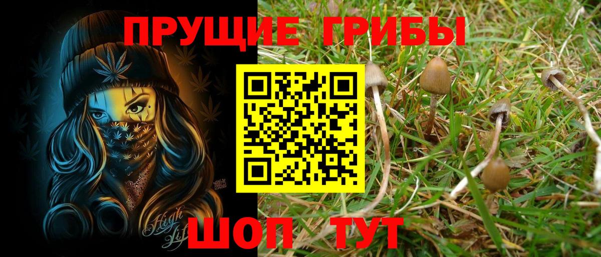 Кимовск  Псилоцибиновые грибы мухоморы  где найти наркотики  Вход с VPN 