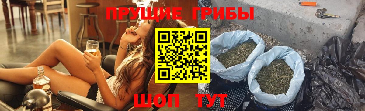 Галлюциногенные грибы Psilocybe Кимовск